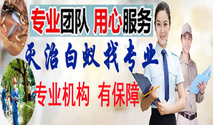 【南安白蚁防治】南安灭除白蚁站「安溪白蚁预防治中心」南安专业灭白蚁所.安溪治理预防公司.南安白  蚂蚁防疫站（惠安.石狮.厦门 晋江 泉港 霞美 康美 省新 溪美 仑苍 洪濑 英都白蚁防治防治白蚁电话）